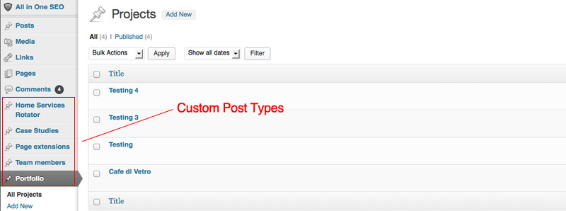 Custom Post Types