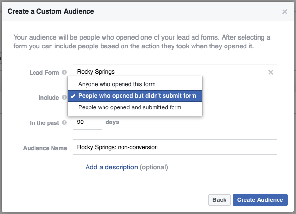 Facebook lead form custom audience setup