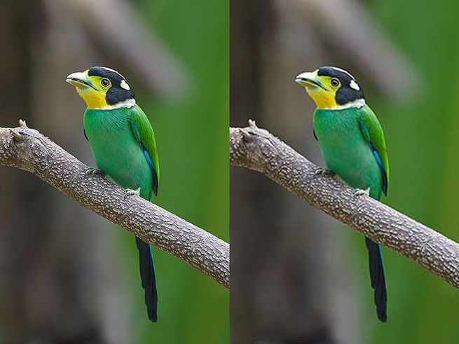 mozjpeg image comparison