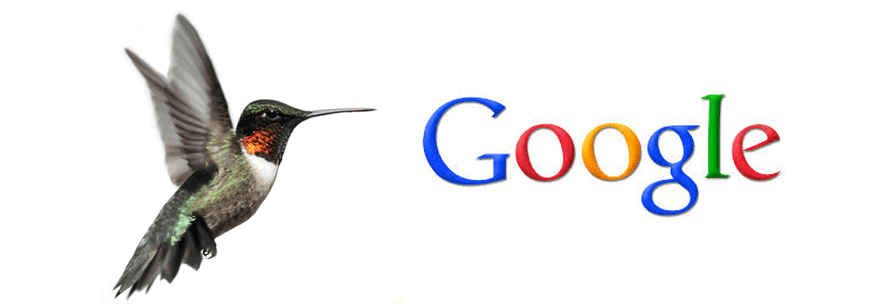 Google’s HummingBird? Don’t Let The Beak Fool You!